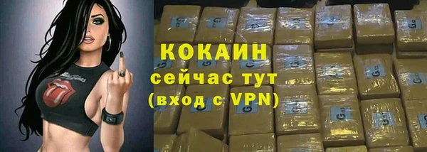 ешки Козельск