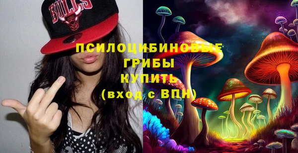 ешки Козельск