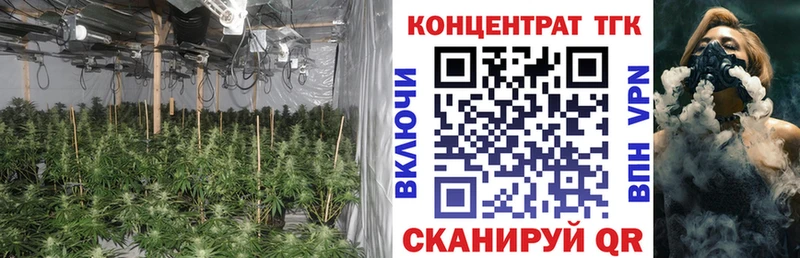 kraken ТОР  Октябрьск  ТГК Wax 