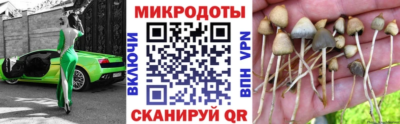Псилоцибиновые грибы Psilocybine cubensis  купить наркотики цена  Октябрьск 